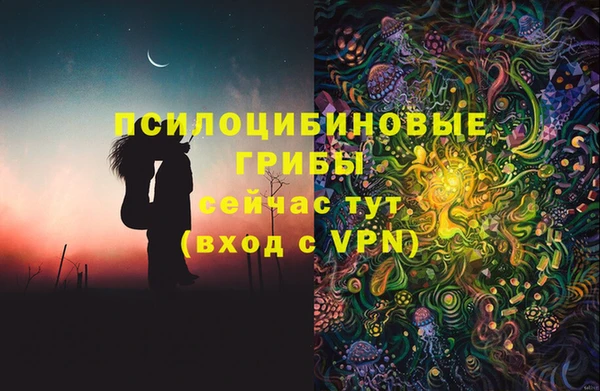 2c-b Надым
