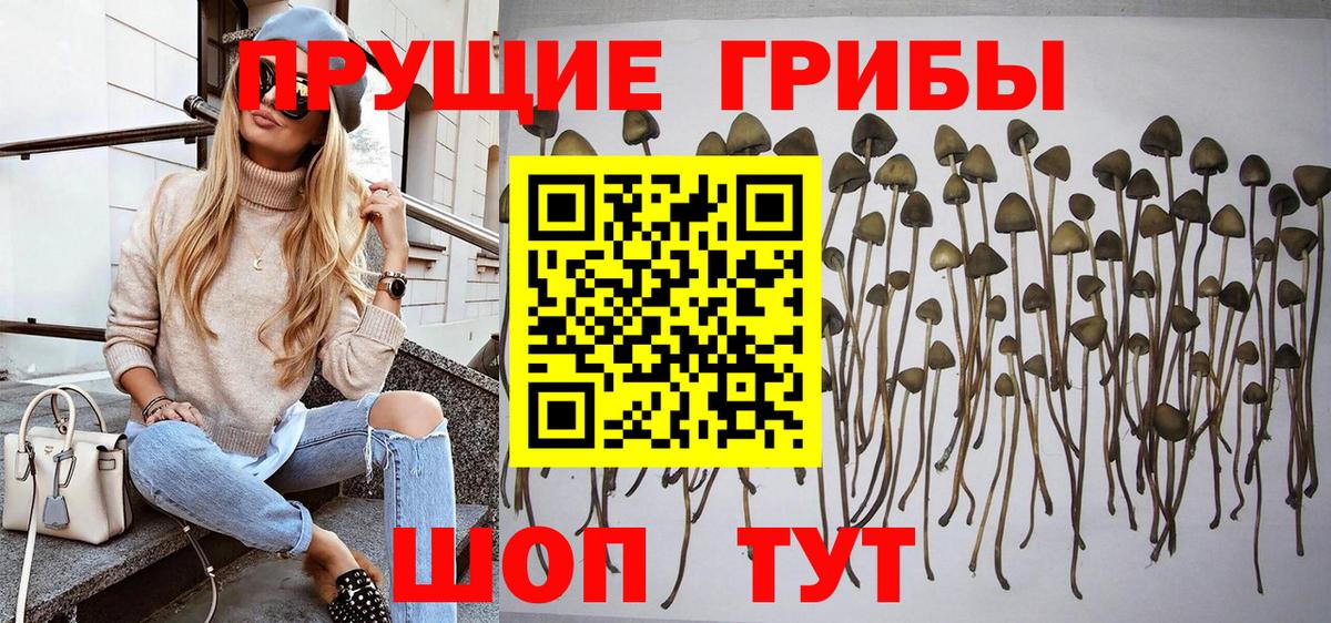 Псилоцибиновые грибы мицелий  Сыктывкар  Галлюциногенные грибы мухоморы 